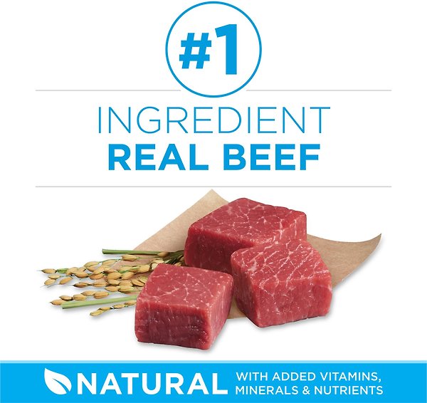 Show full view: Purina ONE SmartBlend Small Breed Formula Beef Dry Dog Food, 3.63-kg bag slide 4 of 9