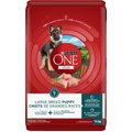 Purina ONE SmartBlend Large Breed Puppy Formula Chicken Dry Dog Food, 14-kg bag