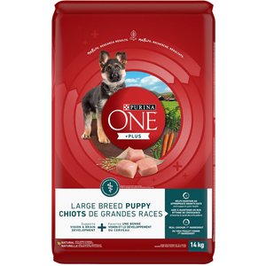 PURINA ONE SmartBlend Large Breed Puppy Formula Chicken Dry Dog