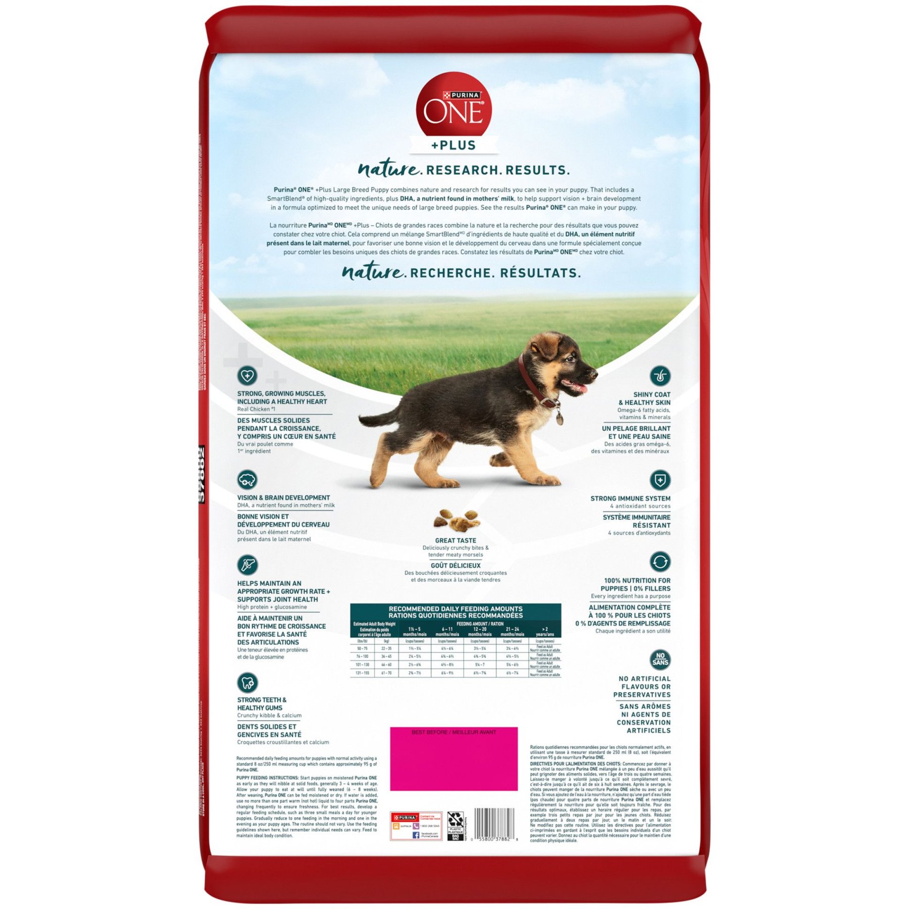 PURINA ONE SmartBlend Large Breed Puppy Formula Chicken Dry Dog Food 14 kg bag Chewy Canada