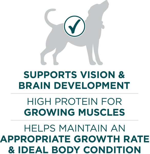 Show full view: Purina ONE SmartBlend Large Breed Puppy Formula Chicken Dry Dog Food, 14-kg bag slide 5 of 10