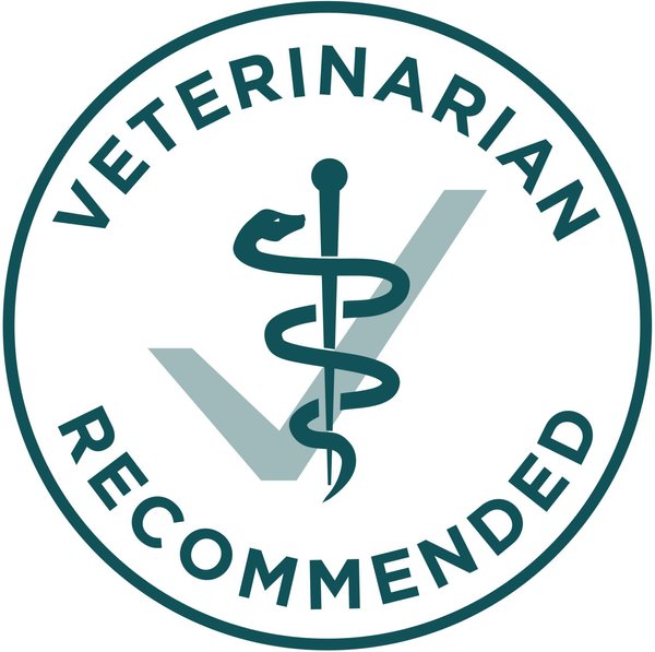 Show full view: Purina ONE SmartBlend Large Breed Puppy Formula Chicken Dry Dog Food, 14-kg bag slide 7 of 10