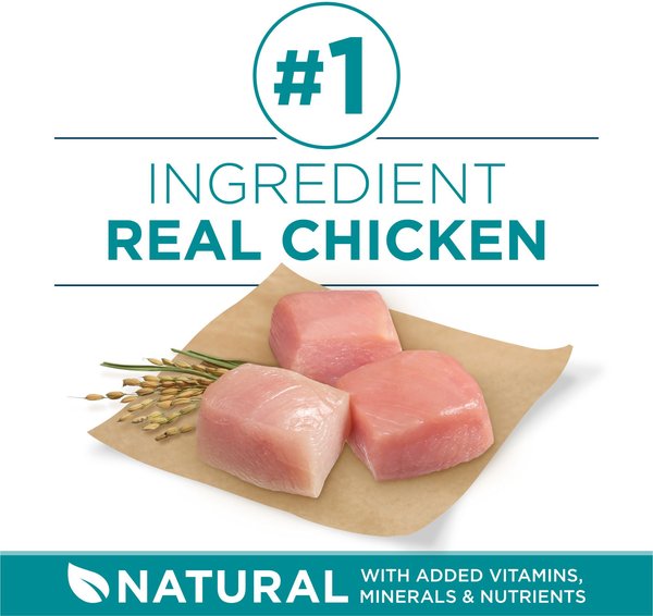 Show full view: Purina ONE SmartBlend Large Breed Formula Chicken Dry Dog Food, 7-kg bag slide 4 of 10