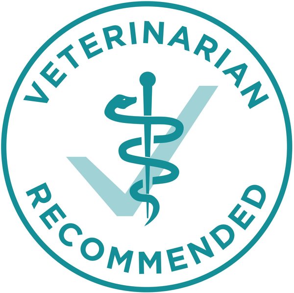 Show full view: Purina ONE SmartBlend Large Breed Formula Chicken Dry Dog Food, 7-kg bag slide 7 of 10