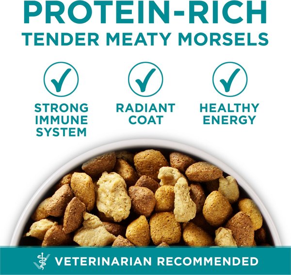 Show full view: Purina ONE SmartBlend Large Breed Formula Chicken Dry Dog Food, 7-kg bag slide 8 of 10