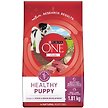 Show in main carousel: Purina ONE SmartBlend Healthy Puppy Formula Lamb Dry Dog Food, 1.81-kg bag slide 1 of 9