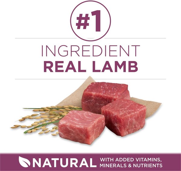 Show full view: Purina ONE SmartBlend Healthy Puppy Formula Lamb Dry Dog Food, 1.81-kg bag slide 4 of 9