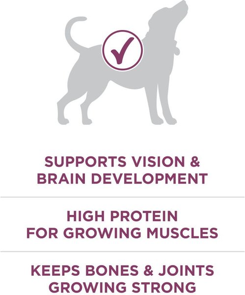 Show full view: Purina ONE SmartBlend Healthy Puppy Formula Lamb Dry Dog Food, 1.81-kg bag slide 5 of 9