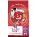 Purina ONE +Plus Healthy Puppy Formula Lamb Dry Dog Food, 6-kg bag