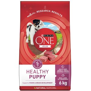 PURINA ONE SmartBlend Small Breed Formula Beef Dry Dog Food 1.81