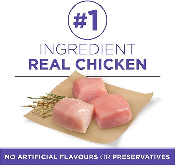 Show full view: Purina ONE SmartBlend Healthy Aging 7+ Formula Chicken Dry Dog Food, 6-kg bag slide 4 of 10