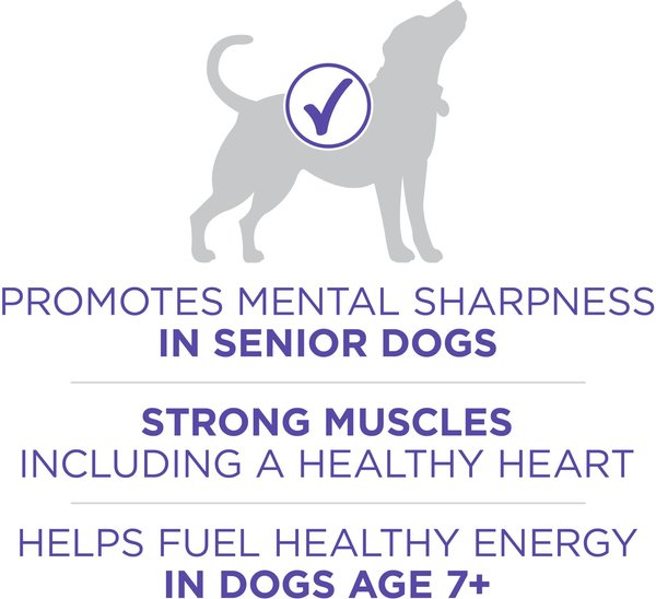 Show full view: Purina ONE SmartBlend Healthy Aging 7+ Formula Chicken Dry Dog Food, 11.7-kg bag slide 5 of 10