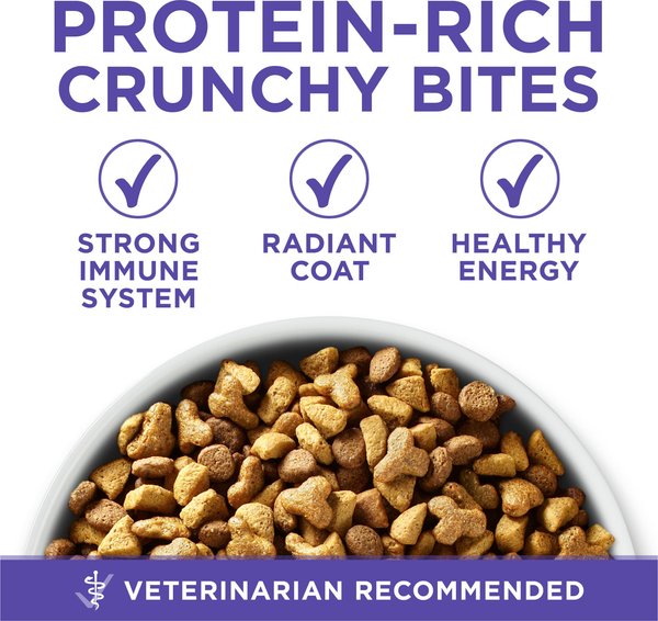 Show full view: Purina ONE SmartBlend Healthy Aging 7+ Formula Chicken Dry Dog Food, 11.7-kg bag slide 8 of 10