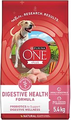 Purina ONE SmartBlend Digestive Health Formula Chicken Dry Dog Food, 5.4-kg bag
