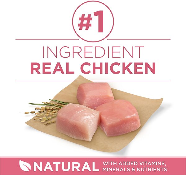 Show full view: Purina ONE SmartBlend Digestive Health Formula Chicken Dry Dog Food, 5.4-kg bag slide 4 of 10