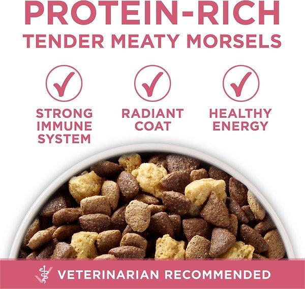 Show full view: Purina ONE SmartBlend Digestive Health Formula Chicken Dry Dog Food, 5.4-kg bag slide 8 of 10