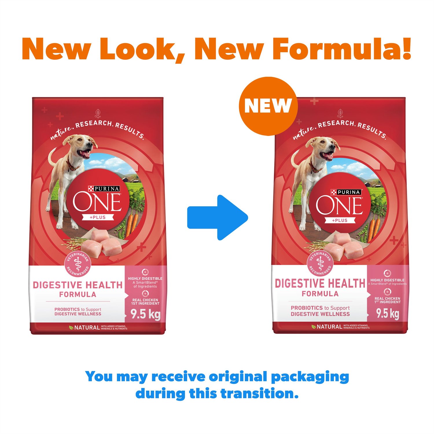 PURINA ONE SmartBlend Digestive Health Formula Chicken Dry