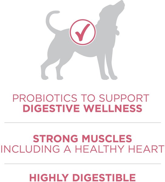 Show full view: Purina ONE SmartBlend Digestive Health Formula Chicken Dry Dog Food, 9.5-kg bag slide 5 of 10