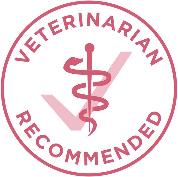 Show full view: Purina ONE SmartBlend Digestive Health Formula Chicken Dry Dog Food, 9.5-kg bag slide 7 of 10