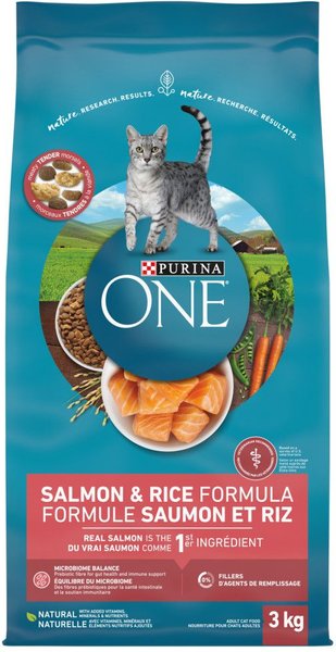 Purina one salmon best sale