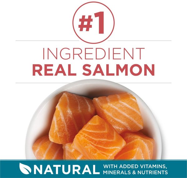 Show full view: Purina ONE Salmon & Rice Dry Cat Food, 3-kg bag slide 4 of 10