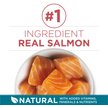 Show in main carousel: Purina ONE Salmon & Rice Dry Cat Food, 3-kg bag slide 4 of 10