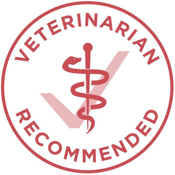 Show full view: Purina ONE Salmon & Rice Dry Cat Food, 3-kg bag slide 7 of 10