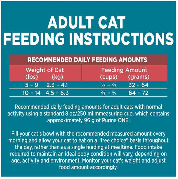 Show full view: Purina ONE Salmon & Rice Dry Cat Food, 3-kg bag slide 9 of 10