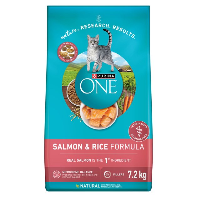 Purina ONE Salmon Rice Dry Cat Food