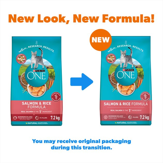 Chewy purina clearance cat food