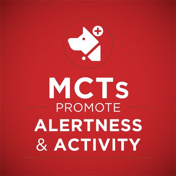 Show full view: Purina ONE Plus+ Healthy Aging 7+ Classic Ground Turkey & Barley Entree Wet Dog Food, 368-g can, case of 12 slide 4 of 12