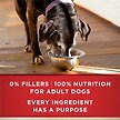 Show in main carousel: Purina ONE Plus+ Healthy Aging 7+ Classic Ground Turkey & Barley Entree Wet Dog Food, 368-g can, case of 12 slide 6 of 12