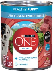 Purina ONE Plus+ Classic Ground Lamb & Long Grain Rice Entree Wet Dog Food, 368-g can, case of 12
