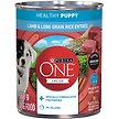 Show in main carousel: Purina ONE Plus+ Classic Ground Lamb & Long Grain Rice Entree Wet Dog Food, 368-g can, case of 12 slide 1 of 11