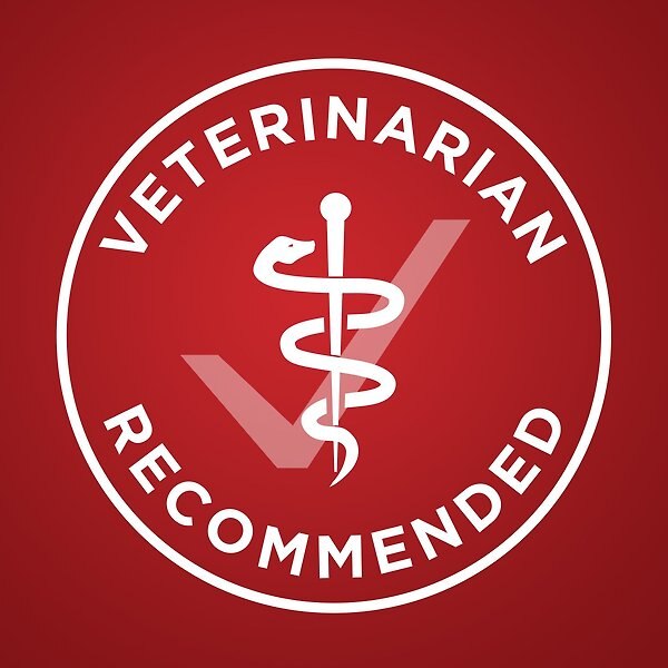 Show full view: Purina ONE Lamb & Rice Formula Dry Dog Food, 1.81-kg bag slide 7 of 10