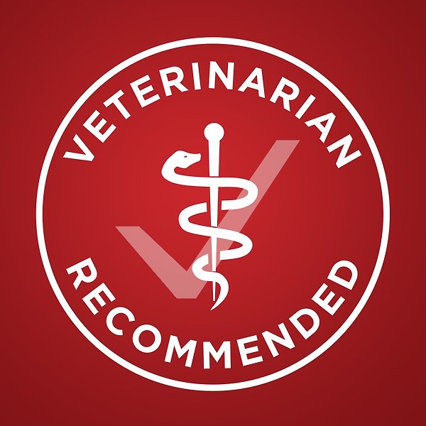 Show full view: Purina ONE Lamb & Rice Formula Dry Dog Food, 3.63-kg bag slide 7 of 10