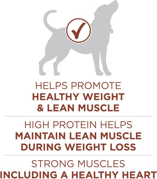 Show full view: Purina ONE Healthy Weight Turkey Dry Dog Food, 7-kg bag slide 5 of 10