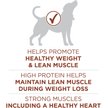 Show in main carousel: Purina ONE Healthy Weight Turkey Dry Dog Food, 7-kg bag slide 5 of 10