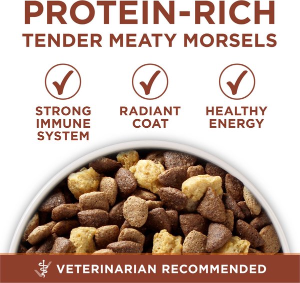 Show full view: Purina ONE Healthy Weight Turkey Dry Dog Food, 7-kg bag slide 8 of 10