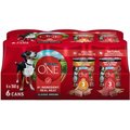 Purina ONE Classic Ground Variety Pack Chicken & Beef Wet Dog Food, 368-g, case of 6