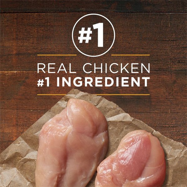 Show full view: Purina ONE Classic Ground Chicken & Brown Rice Entree Wet Dog Food, 368-g can, case of 12 slide 4 of 12