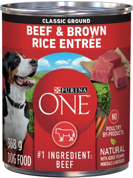 PURINA ONE Classic Ground Beef Brown Rice Entree Wet Dog Food