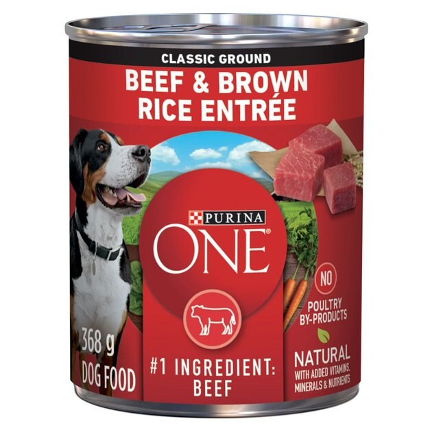 PURINA ONE Classic Ground Beef & Brown Rice Entree Wet Dog Food, 368g