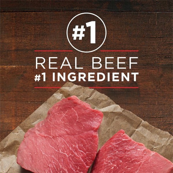 Show full view: Purina ONE Classic Ground Beef & Brown Rice Entree Wet Dog Food, 368-g can, case of 12 slide 4 of 10