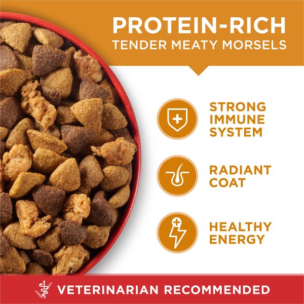 Show full view: Purina ONE Chicken & Rice Formula Dry Dog Food, 1.81-kg bag slide 8 of 10