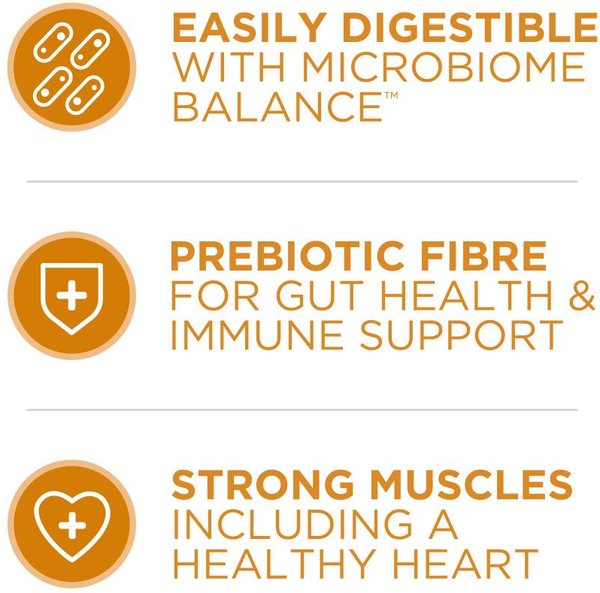 Show full view: Purina ONE Chicken & Rice Formula Dry Dog Food, 14-kg bag slide 5 of 10