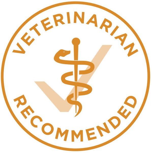 Show full view: Purina ONE Chicken & Rice Formula Dry Dog Food, 14-kg bag slide 7 of 10