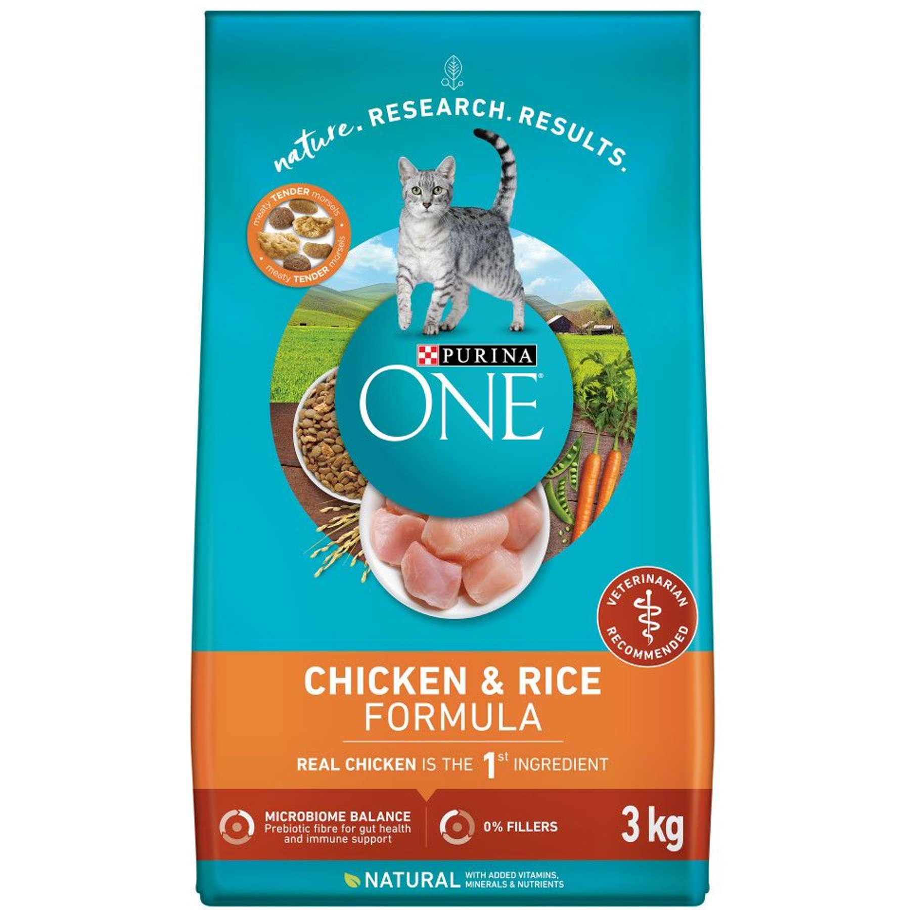 Purina dry cat food best sale