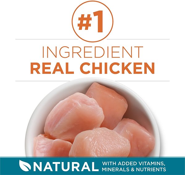 Show full view: Purina ONE Chicken & Rice Dry Cat Food, 7.2-kg bag slide 4 of 12