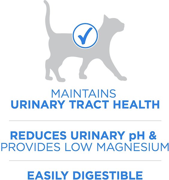 Show full view: Purina ONE +Plus Urinary Tract Formula Chicken Dry Cat Food, 1.8-kg bag slide 5 of 10